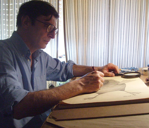 filippo sassoli disegna