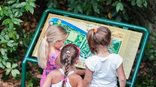 LABIRINTO PORCINAI, RESTAURO IN CORSO - targa