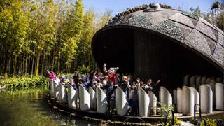 Parco di Pinocchio attività