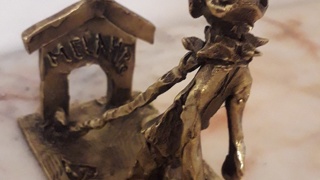 20200808_202137_resized_1