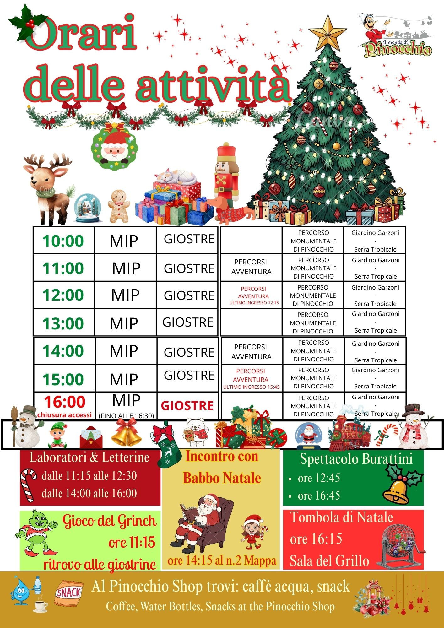 6 7 8 programma attività