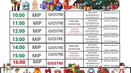 6 7 8 programma attività