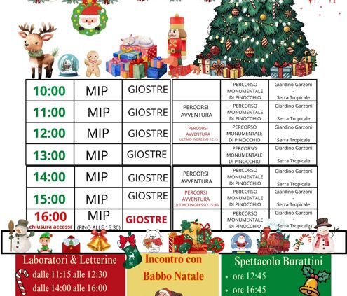 6 7 8 programma attività