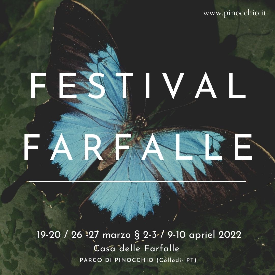 Festival delle Farfalle
