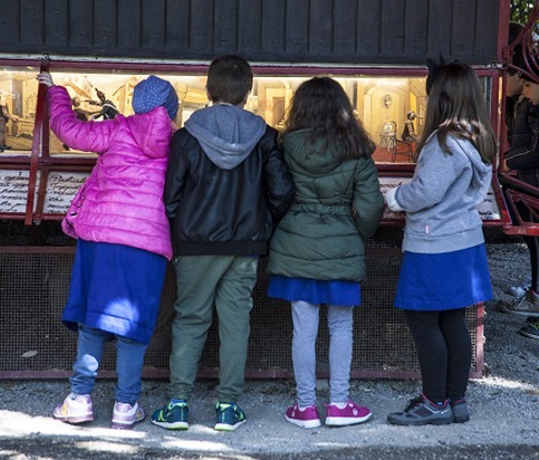 foto novembre parco di pinocchio