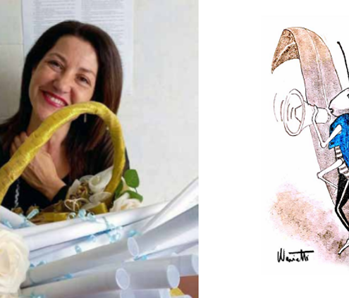 tre zollette per pinocchio